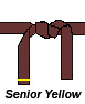 Yellow Tag